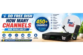How Many Channels Are Available on DD Free Dish?